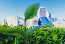 Pollinators key to fighting climate change and creating green cities Pollinators key to fighting climate change and creating green cities