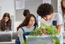 Using problem solving to redefine environmental education education