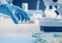 Bacterial outer membrane vesicles: enhancing antibiotic research antibiotic