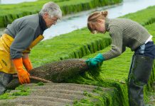 Setting the standards for the future of responsible seafood responsible seafood