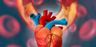 long-period space flight