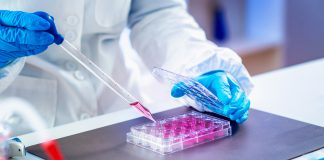 stem cell technology