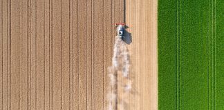 greenhouse gas emissions