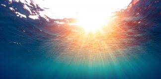 renewable energy market