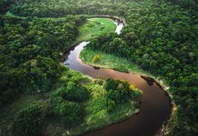 tropical rainforests