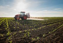 Developing organic nitrogen fertiliser to enhance agriculture production Developing organic nitrogen fertiliser to enhance agriculture production