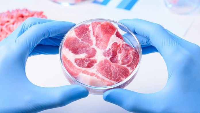 bioengineer meat