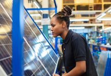 perovskite solar cell