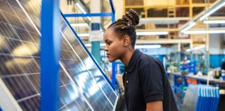 perovskite solar cell