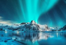 ozone layer depletion