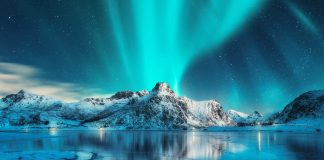 ozone layer depletion