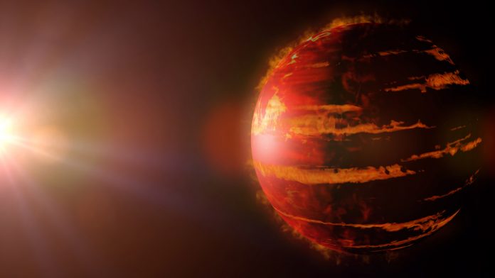 brown dwarfs