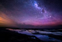 Making history: Dame Jocelyn Bell Burnell becomes second woman to win Copley Medal