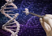 CRISPR technology achieves DNA repair in Space for the first time DNA repair