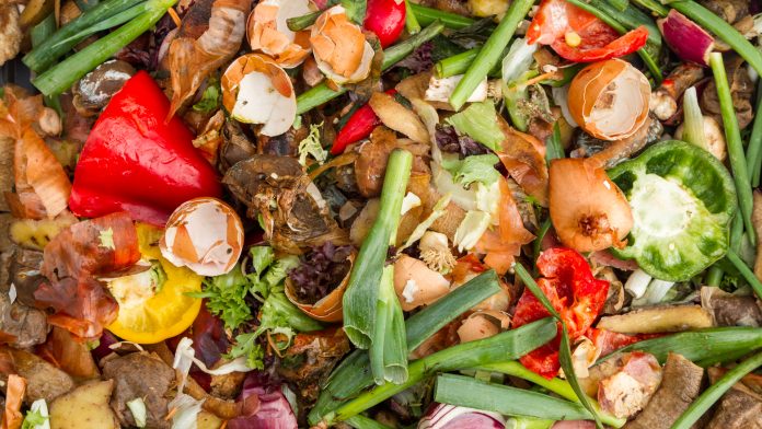 Giving waste value: Utilising biotechnology to convert food waste