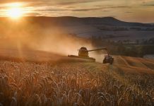 Benefits of concentrated farming over eco-friendly agriculture Benefits of concentrated farming over eco-friendly agriculture