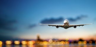 Bird strike prevention: Reducing the number of collisions between birds and aircraft