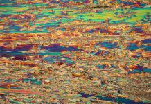 Groundbreaking technique for sustainable extraction and separation of rare earth elements