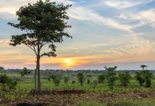 A net zero future dependent on the correct rare earth supply