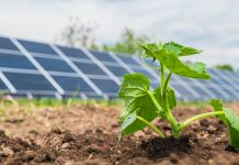 Breakthrough made in enhancing energy-efficiency of organic solar cells organic solar cells