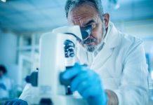 New heavy fermion material mimics quantum entangled rare earth compounds heavy fermion materials