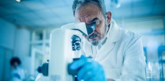 heavy fermion materials