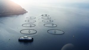 Norwegian aquaculture