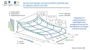 ecohydrology 