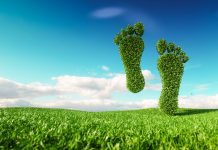 Improved polymers could lead to carbon-free society carbon free