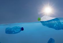 Enzymes that degrade plastics are increasing pollution rates pollution