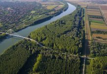 Measuring the European bioeconomy for the green energy transition European Bioeconomic