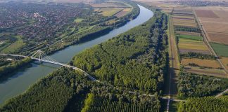 European Bioeconomic