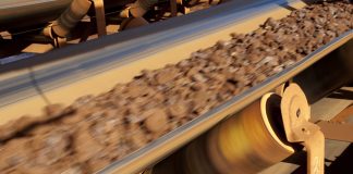 rare earth elements industry survey