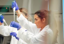 rare earth elements separation