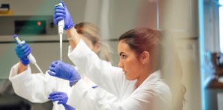 rare earth elements separation