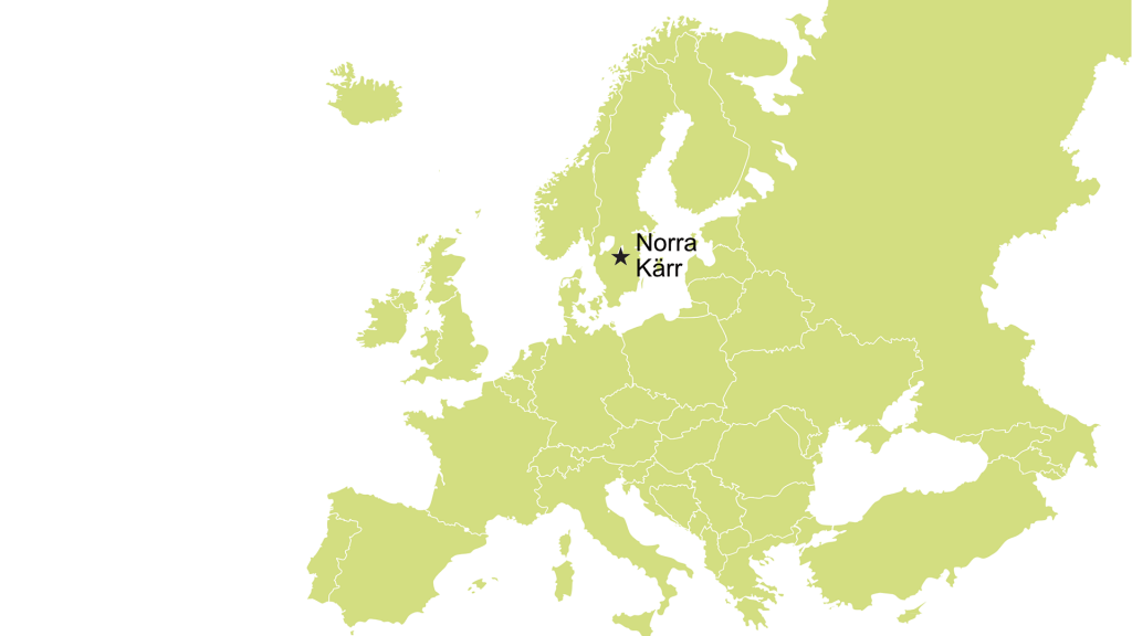 Swedish rare earths