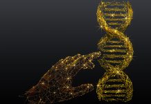 Genome turned off in CLASSY gene diversifies epigenomes Cell