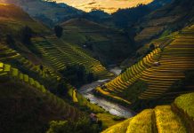 Scientists reveal agricultural practices increase CH4 and N2O production Methane