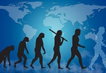 Scientists reveal patterns in contemporary evolution theory Evolution