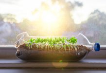 Scientists develop food packaging that is both smart and sustainable sustainable