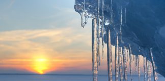 The shape of melting ice