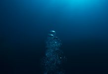 Researchers uncover cause for the Late Ordovician Mass Extinction Late Ordovician Mass Extinction