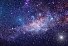 Unique globular clusters may hold answers to galaxy evolution globular clusters