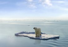 Ocean warming reaches unprecedented levels world's oceans