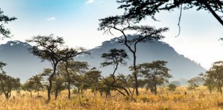 Exploring Zambia’s premier nickel mine