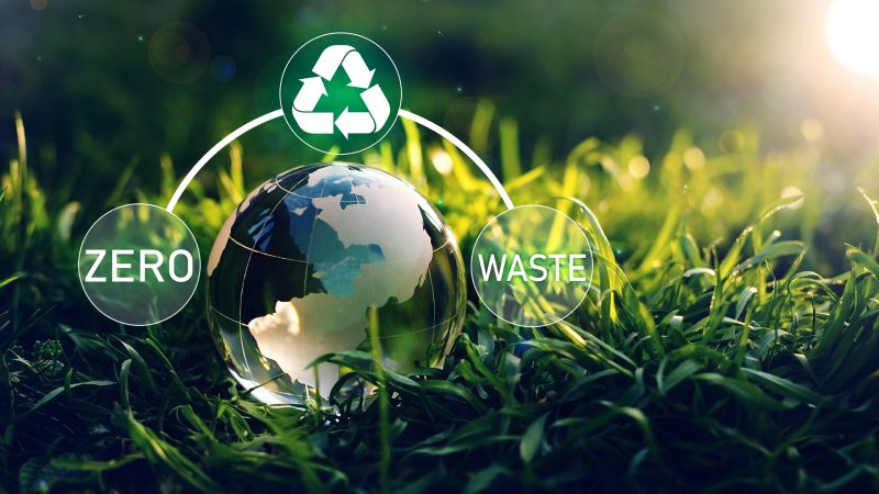 Recent Advancements in Plastic Packaging Recycling