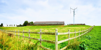 wind power for electricity