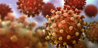 CERN data reveals how COVID-19 infection spreads in indoor settings