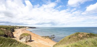 coastal rehabilitation