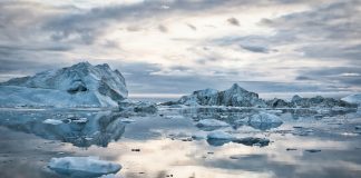 the future of the Arctic